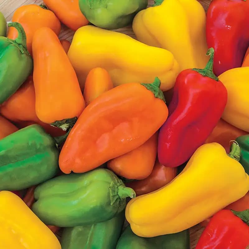 Sweet Bell Peppers