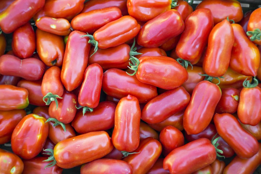 San Marzano Tomatoes